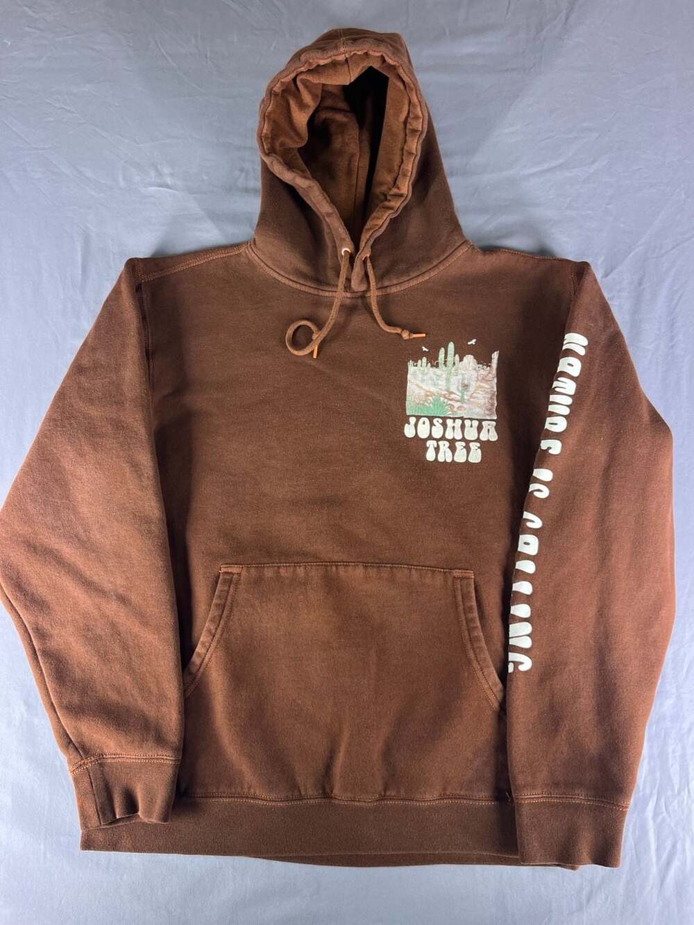 Joshua Tree Saddle Hoodie